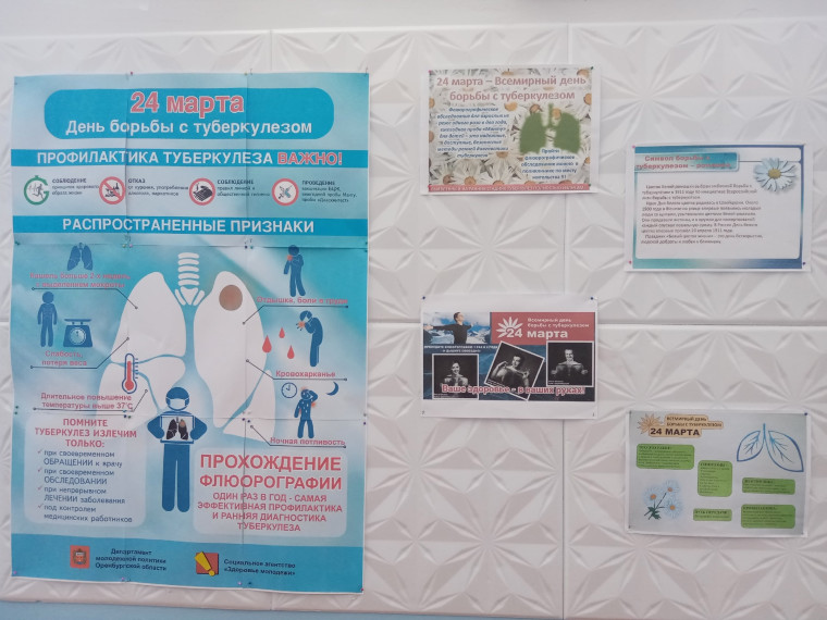 «День белой ромашки» - профилактика туберкулеза..